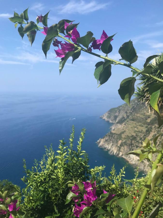 Il Borgo Di Campi Aparthotel Riomaggiore Exterior foto